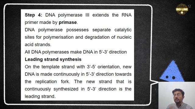 DNA Replication in Prokaryotes I Bio line смотреть онлайн