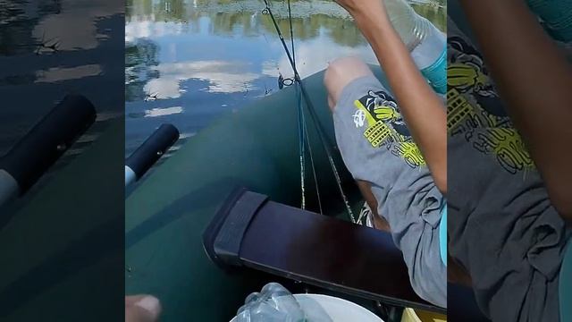 Тульская обл р. Проня. В поисках хищника в жару. смотреть онлайн