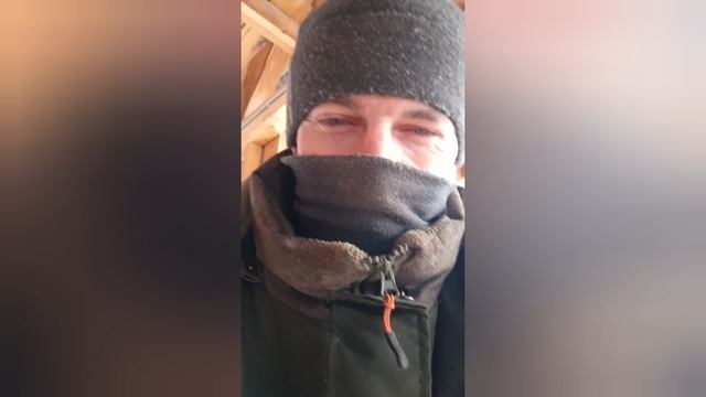 Пилорама смотреть онлайн