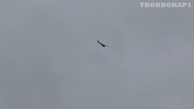 AIRSPEED HORSA & KLEMM KL 25 RC GLIDER TUG DISPLAY AT LMA RAF COSFORD - 2019 смотреть онлайн