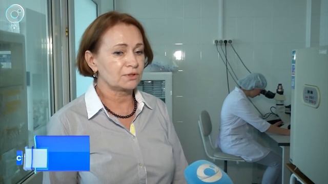 Клетки собственной крови лечат тяжелобольных пациентов смотреть онлайн