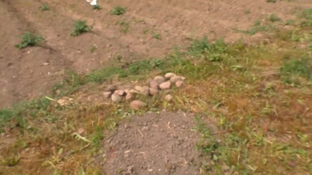 Жара - дела кузнечные дела огородные смотреть онлайн