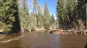 река Большая Тигма от Мошково до Выдропужска 5.04.2024