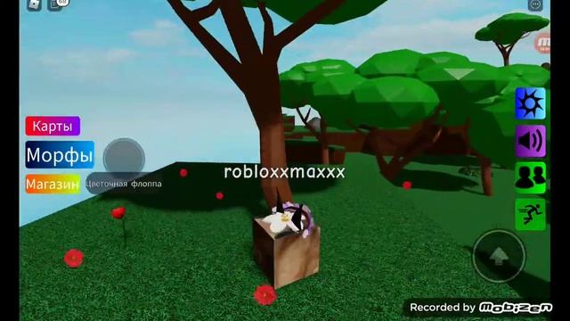 Радужные математические метафоры