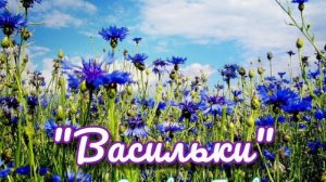 Песня ВАСИЛЬКИ | исп. Елизавета Головизнина | SONG