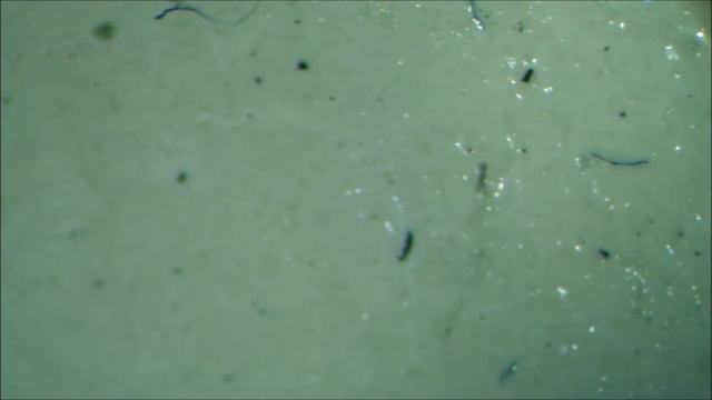 iPhone 7 Home Button Repair - Turtle U10 Chip Replaced смотреть онлайн