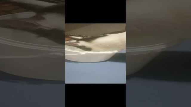 1 смотреть онлайн