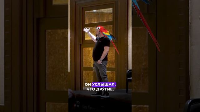 Ты продавец, а не менеджер по продажам. смотреть онлайн