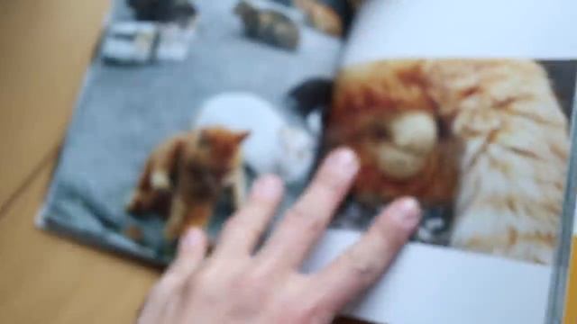Япония, которая удивляет. Большой выпуск смотреть онлайн