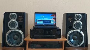 Обзор акустики SONY SS-V715AV