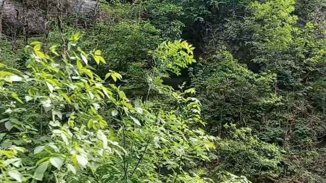 Гуамское ущелье. 11.05.24. смотреть онлайн