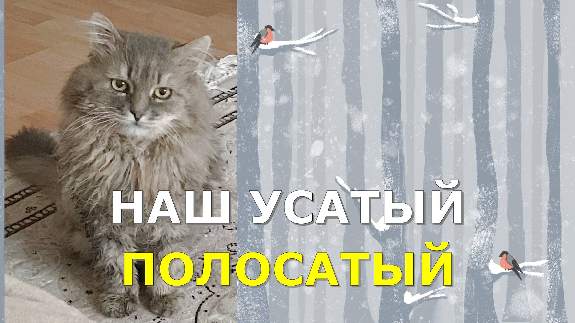 Фильм Наш усатый полосатый 1 часть смотреть онлайн