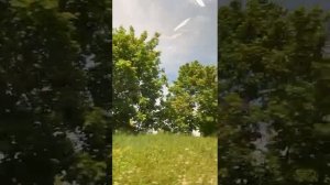 Эльмира Сулейманова "Кайларда сез, авыл балалары"