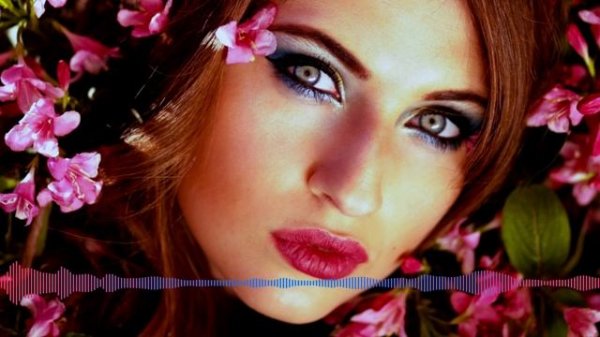 Alan Walker - Dreamer [NCS Release] | Music House