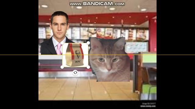 Ginger The Cat Goes To KFC While Banned (PUNISHED)