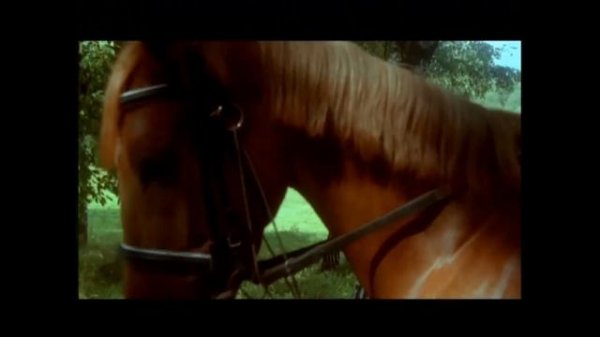 Как упоительны в России вечера 1080