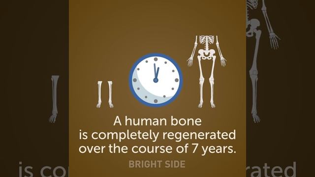 50 AMAZING EVIDENCE THAT WE DON'T CONTROL OUR BODIES смотреть онлайн