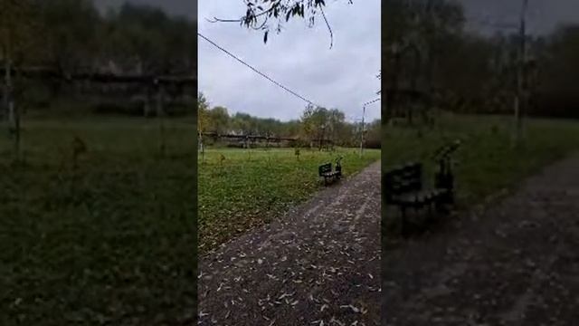 Эфир 06.10.2024. Парк у дома. смотреть онлайн