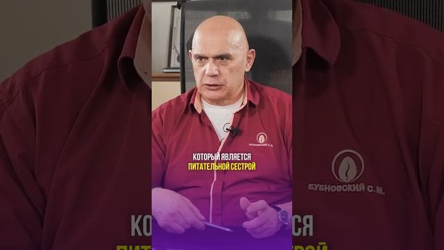 Опасность операции на грыжу позвоночника #shorts #бубновский #здоровье #медицина смотреть онлайн