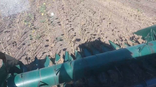 Збирання ЛГ 5631. 21.09.2018 смотреть онлайн