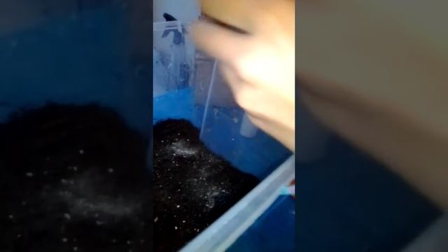 Ули уборка смотреть онлайн