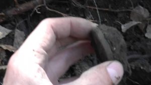 прикамье лайт