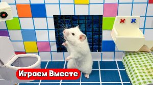 Помогаем хомяку сбежать из секретной комнаты 🐹🐹🐹 Лабиринт с препятствиями ! Видео для детей 👍