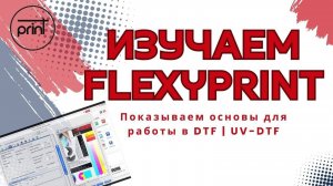 Рипуем макет в FlexyPrint (photoprint) на примере DTF принтера #курс, #гайд