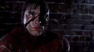 Spider Man (2002) | Spider Man Twixtor Scene Pack Without CC