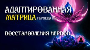 Восстановления нервов  🌀 Адаптированная программа матрица ☀️ SoftRadio.ru