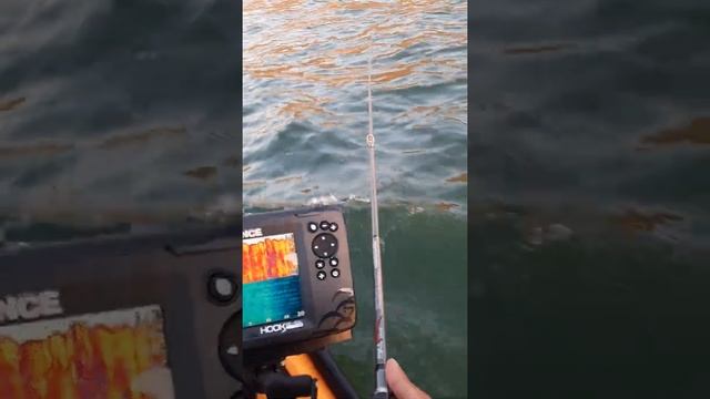 Sonar Lowrance Hook Reveal 7X Cardume de peixinhos na tela! #sonar #lowrance смотреть онлайн