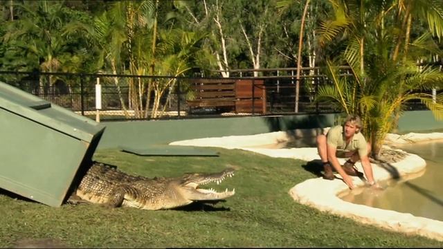 Steve Irwin Relocates Australia Zoo's Crocodiles | Crocodile Hunters: The Best Of Steve Irwin