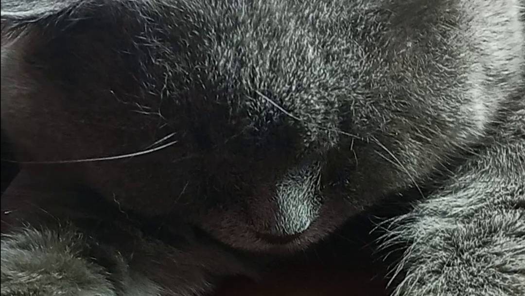 20 декабря 2024 смотреть онлайн