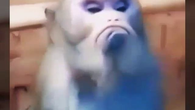 Обиделась смотреть онлайн