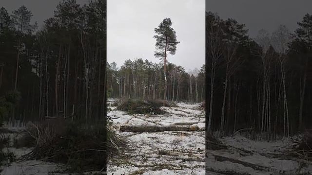 не повезло