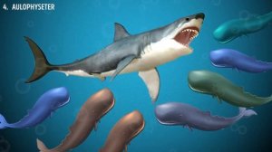 6 Самых Коварных Противников Мегалодона!