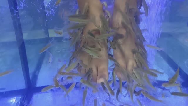 Рыбки смотреть онлайн