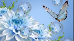 Жизнь бабочки недолговечна... (мир бабочек)