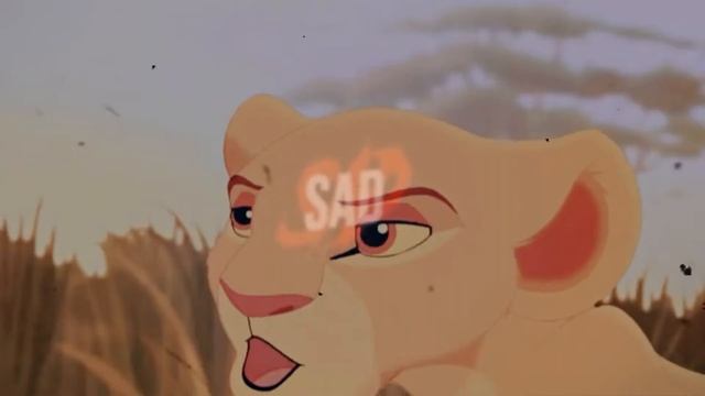 Vitani x Kiara [Happier than ever]~ 𝙑𝙚𝙣𝙩; смотреть онлайн