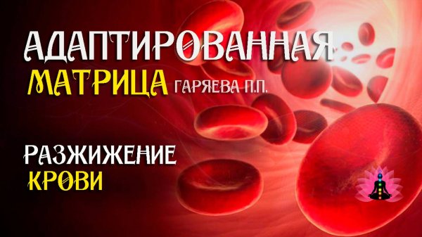 Разжижение крови  🌀 Адаптированная программа матрица по технологии Гаряева ☀️ SoftRadio.ru
