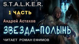 S.T.A.L.K.E.R. Звезда-Полынь (аудиокнига). Часть 1. БОЕВАЯ ФАНТАСТИКА. Читает Роман Ефимов.