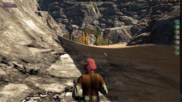 Shroud Of The Avatar FV ч30 Протестим одиночную игру