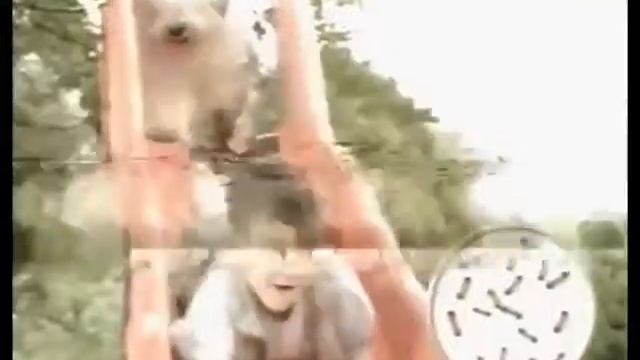 Анонсы и рекламный блок (REN TV, март 2004) смотреть онлайн