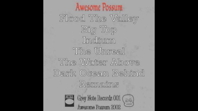 Awesome Possum "Indium" Awesome Possum 2002 смотреть онлайн