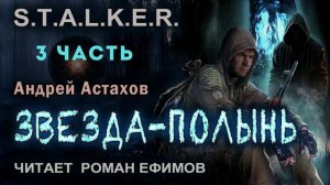 S.T.A.L.K.E.R. Звезда-Полынь (аудиокнига). Часть 3. БОЕВАЯ ФАНТАСТИКА. Читает Роман Ефимов.