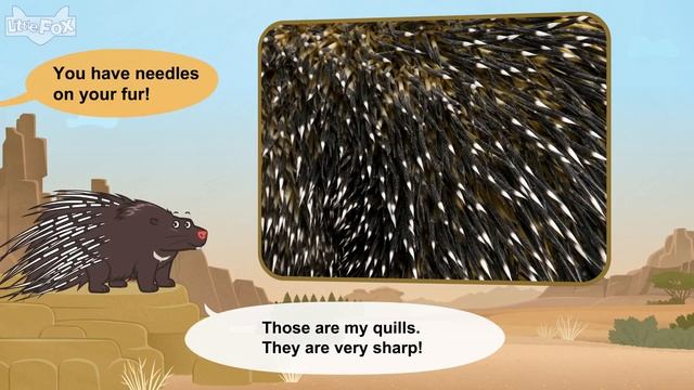 Meet the Animals 22_ Porcupine _ Level 2 _ By Little Fox смотреть онлайн