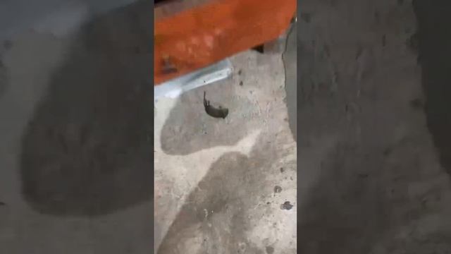 А ЧАСИКИ ТО ТИКАЮТ смотреть онлайн