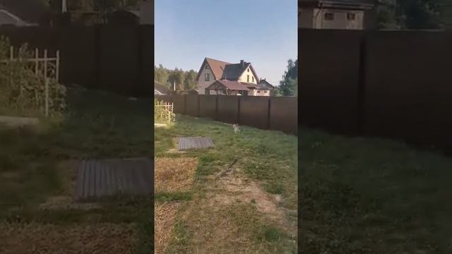"Нижзабор" Забор из профнастила высота 2м 100м. Нижегородская область г. Бор, пос. Княжево смотреть онлайн