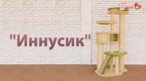 Процесс сборки комплекса «Иннусик»