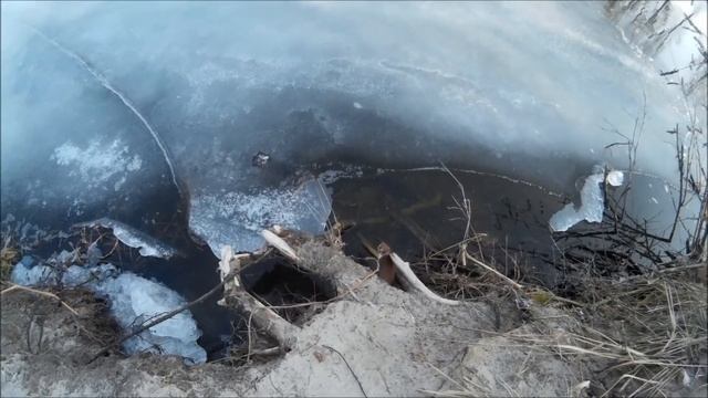 хорек смотреть онлайн